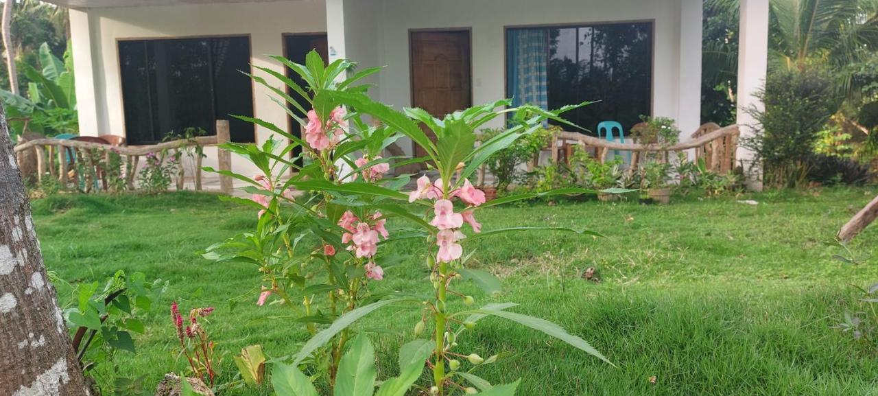 Andnindot Garden Resort Anda  Exterior photo